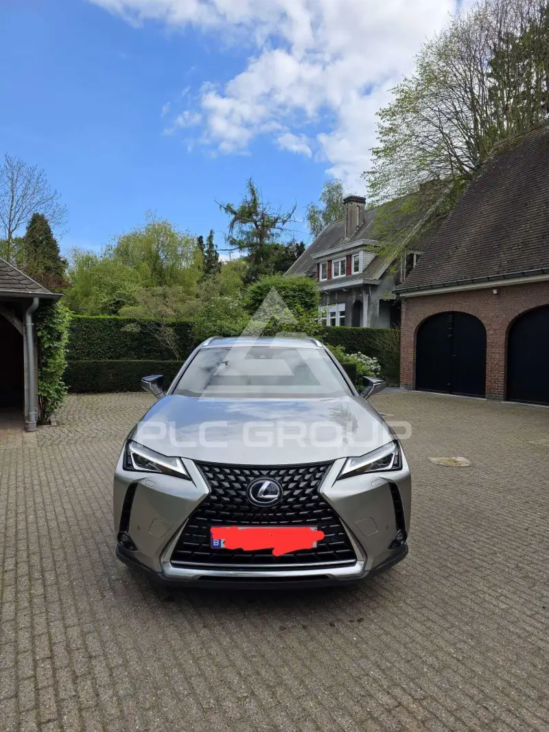 2022 Lexus UX250