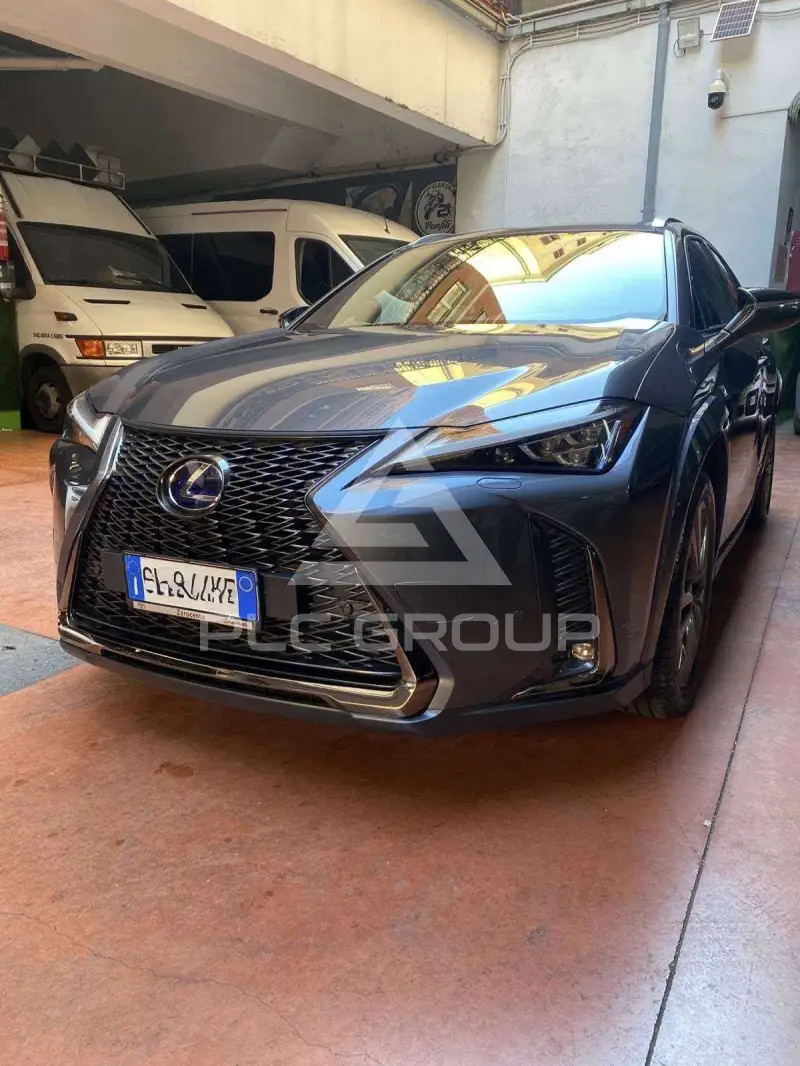2022 Lexus UX250