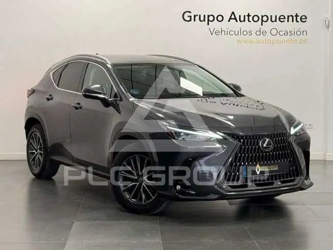2022 Lexus NX300