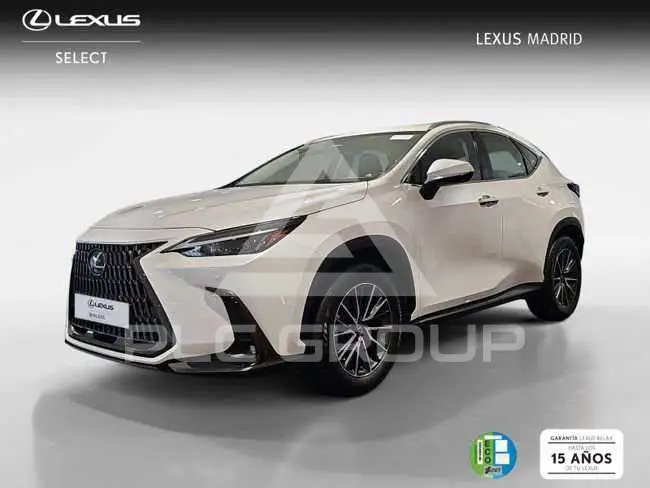 2022 Lexus NX300