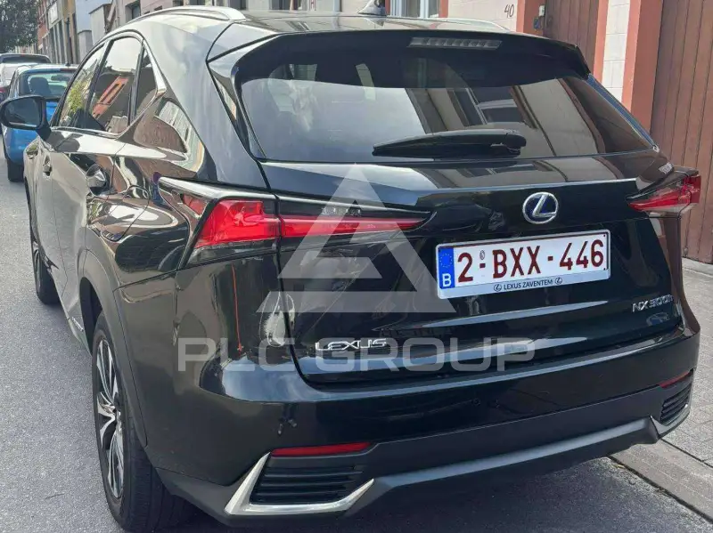 2022 Lexus NX300