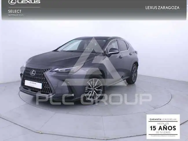 2022 Lexus NX300