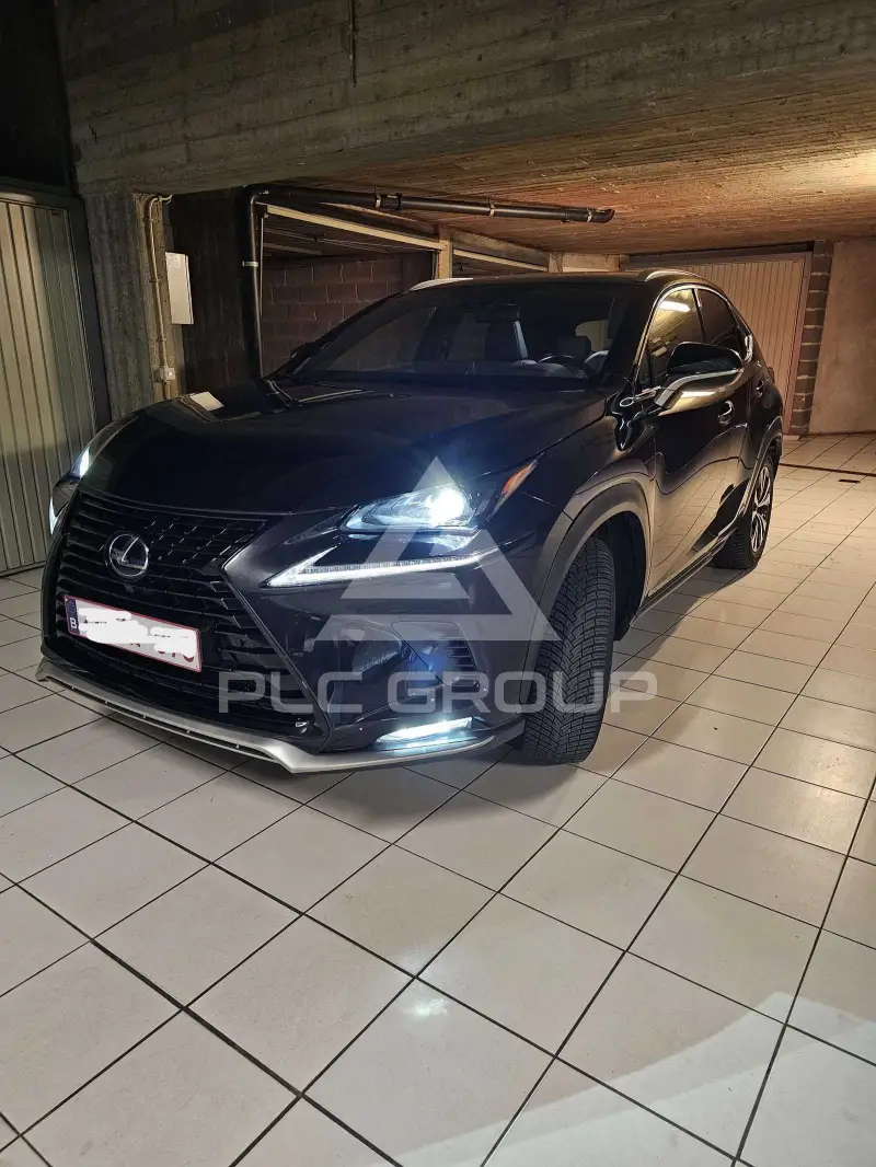 2022 Lexus NX300