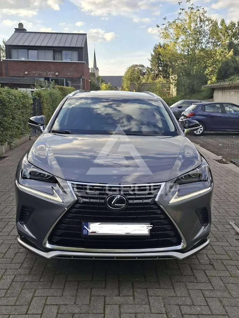 2022 Lexus NX300