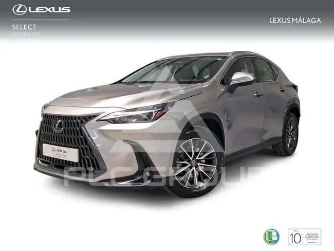 2022 Lexus NX300