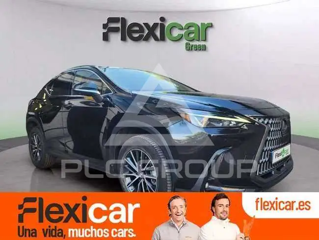 2022 Lexus NX300