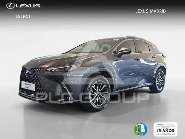 2022 Lexus NX300