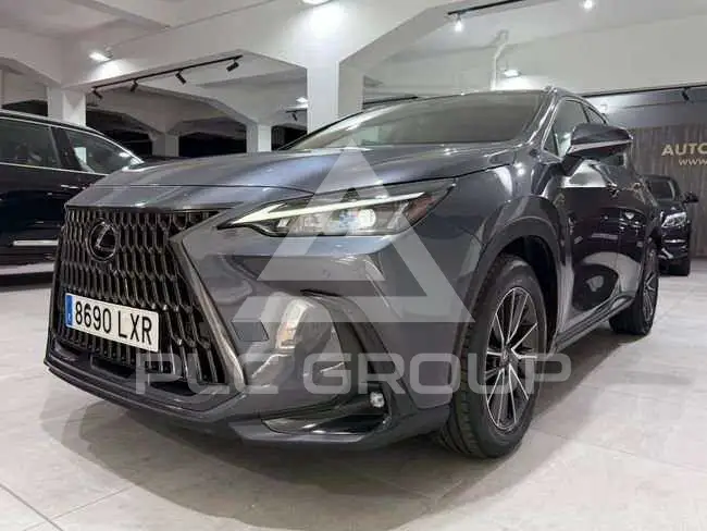 2022 Lexus NX300