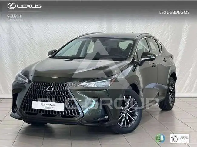 2022 Lexus NX300