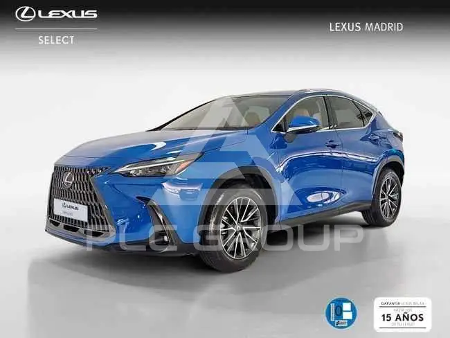 2022 Lexus NX300