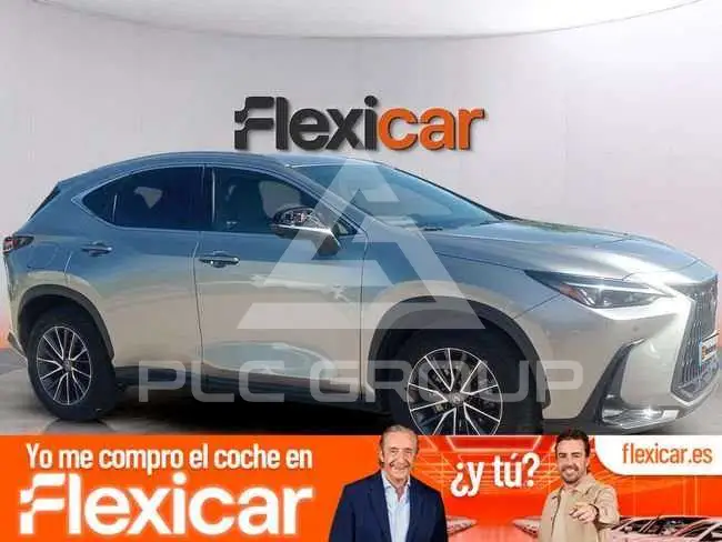 2022 Lexus NX300
