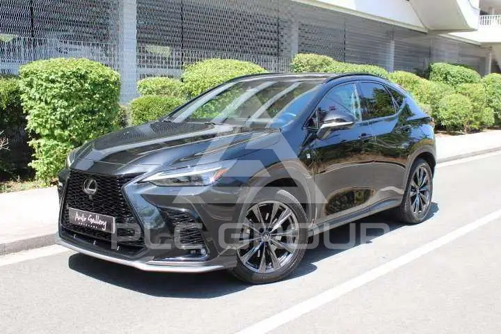 2022 Lexus Other
