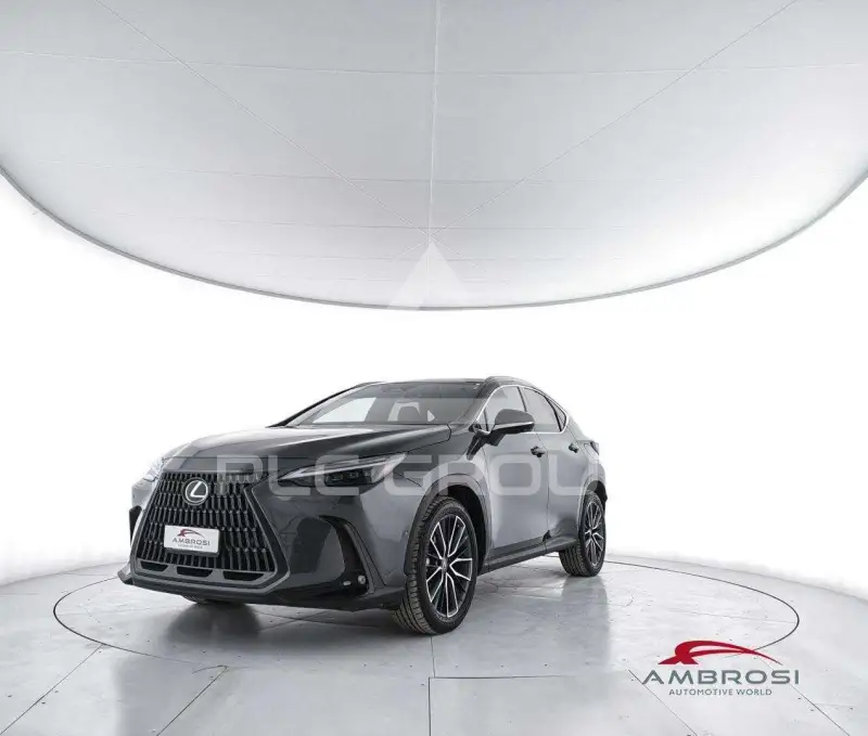 2022 Lexus Other
