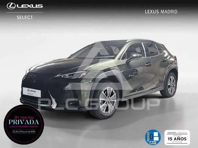 2022 Lexus UX