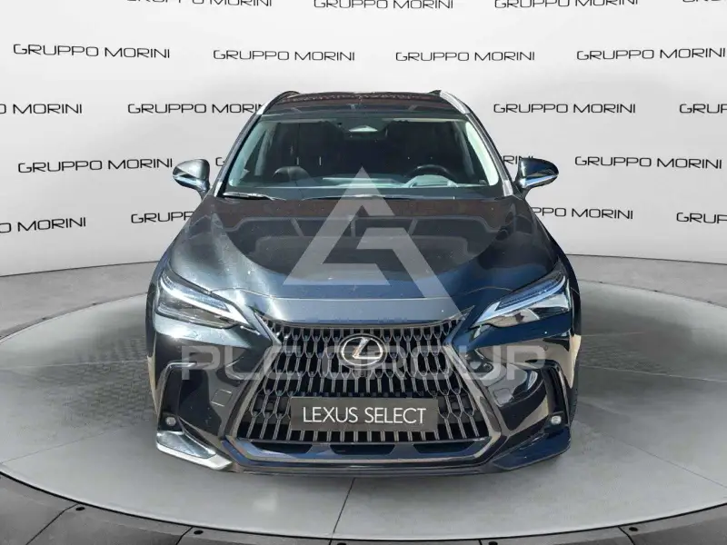 2022 Lexus NX250