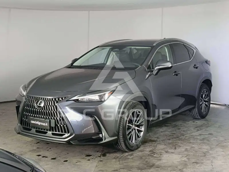 2022 Lexus NX250