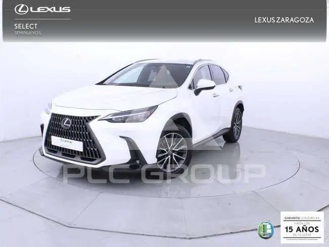 2022 Lexus NX250