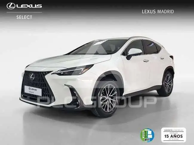 2022 Lexus NX250