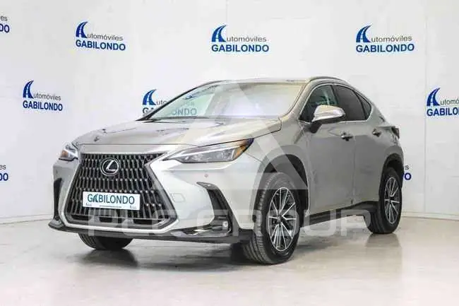 2022 Lexus NX250