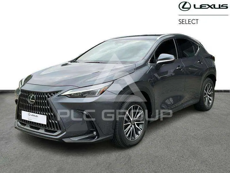 2022 Lexus NX250