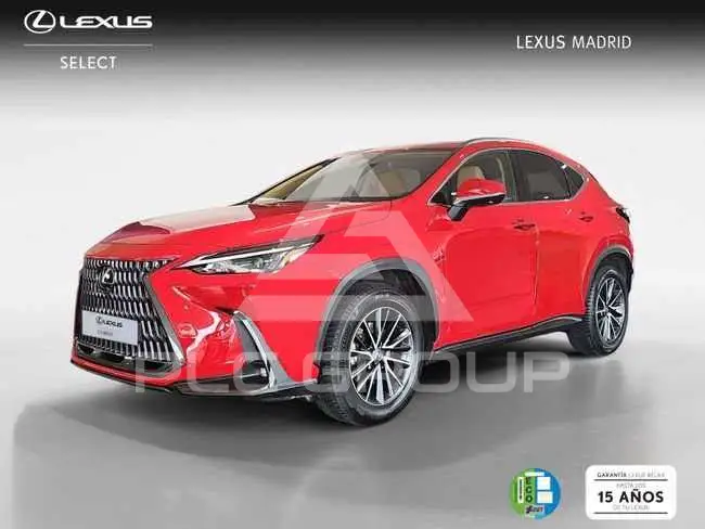 2022 Lexus NX250