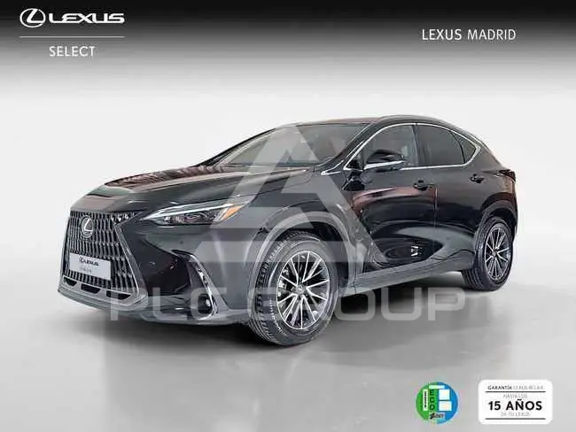 2022 Lexus NX250