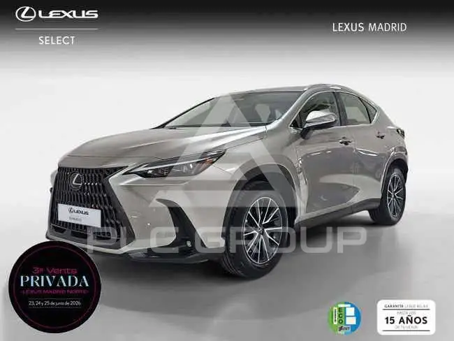 2022 Lexus NX250