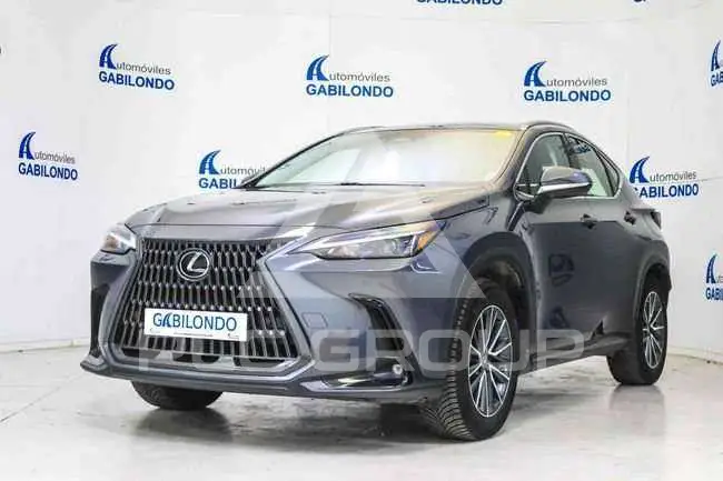2022 Lexus NX250