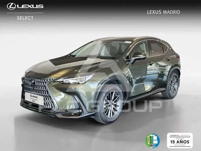 2022 Lexus NX250