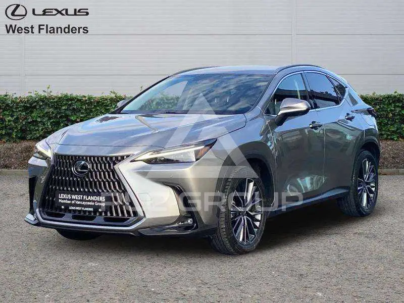 2022 Lexus NX450