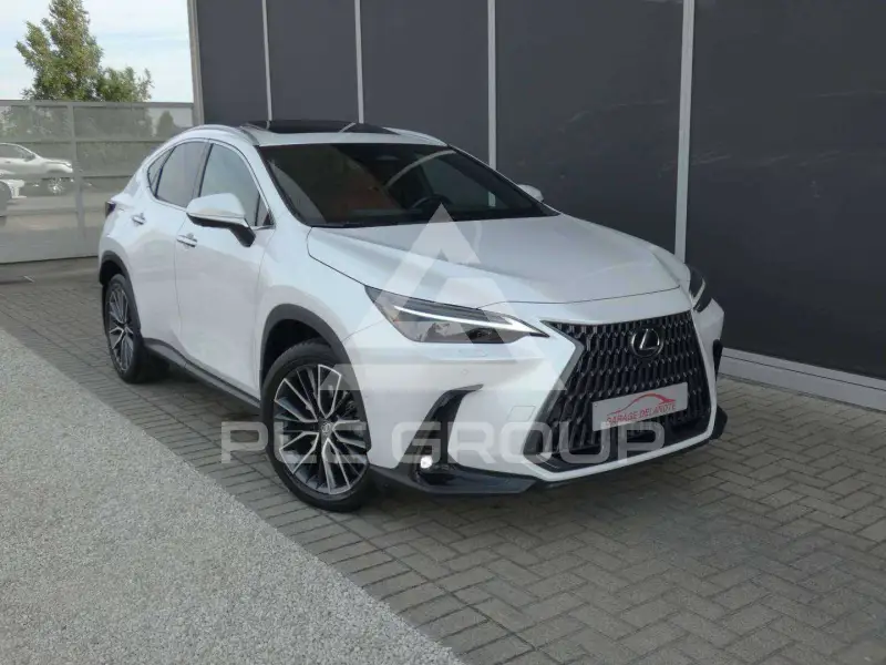 2022 Lexus NX450