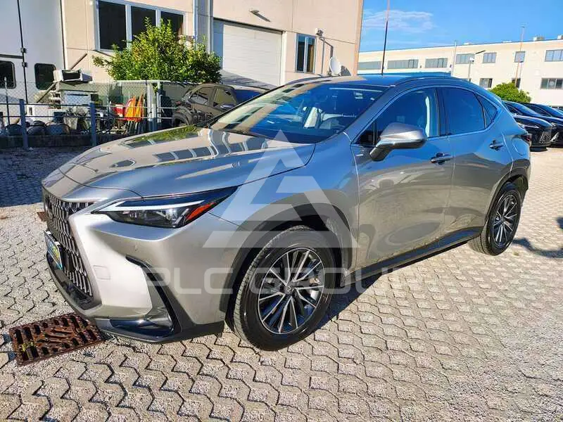 2022 Lexus NX450