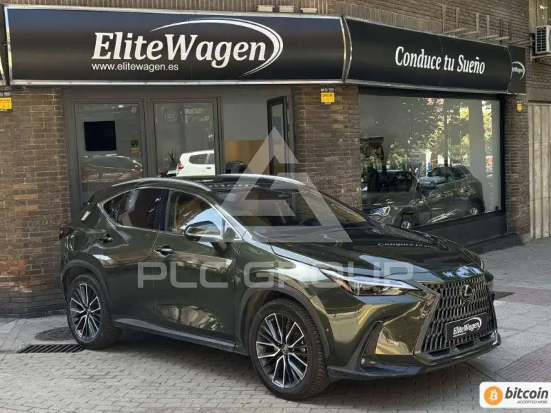2022 Lexus NX450