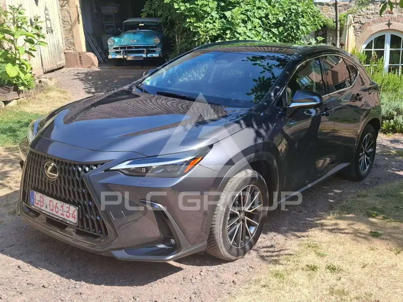 2022 Lexus NX450