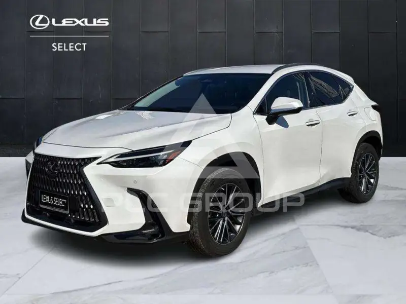 2022 Lexus NX450