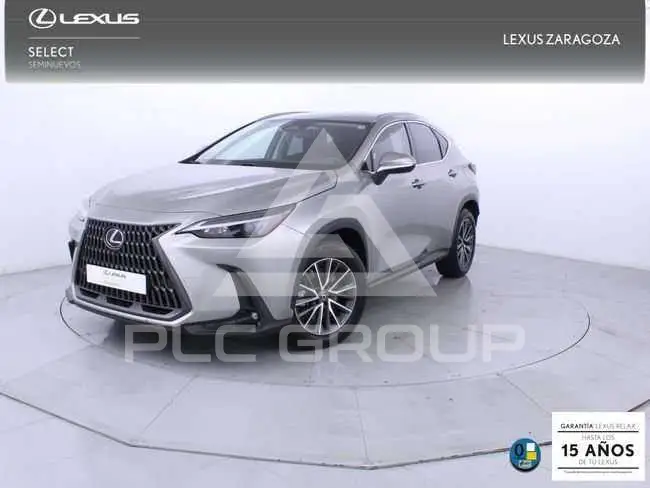 2022 Lexus NX450
