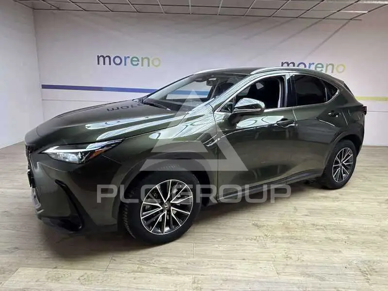 2022 Lexus NX450
