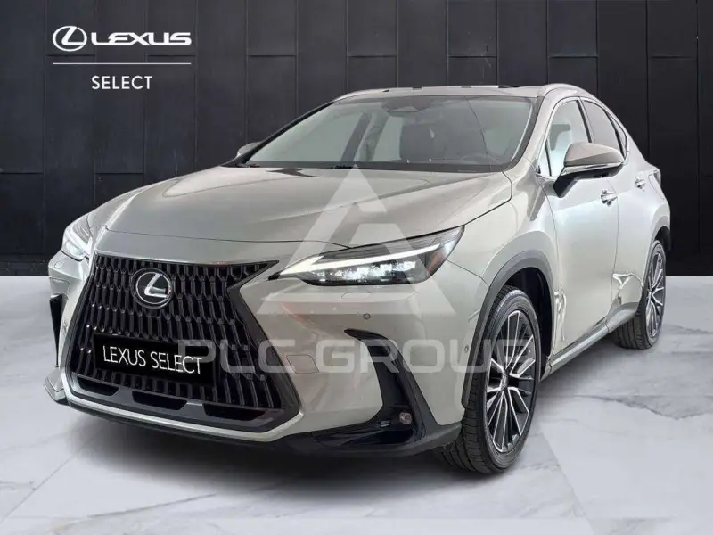 2022 Lexus NX450
