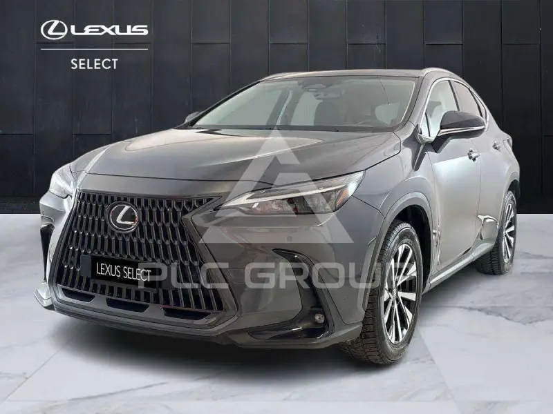 2022 Lexus NX450