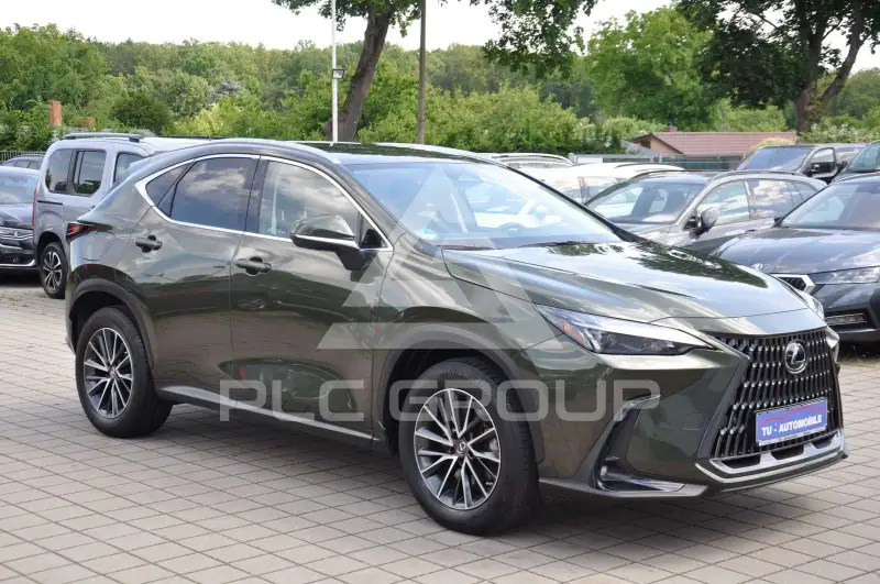 2022 Lexus NX450
