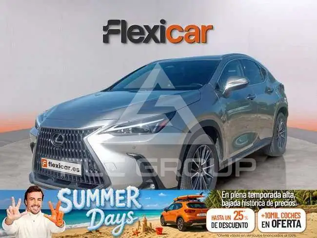 2022 Lexus NX450