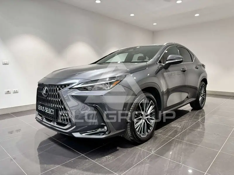 2022 Lexus NX450