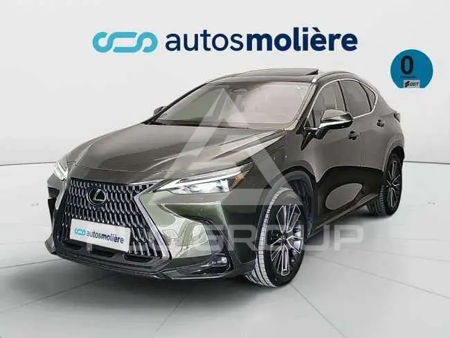 2022 Lexus NX450
