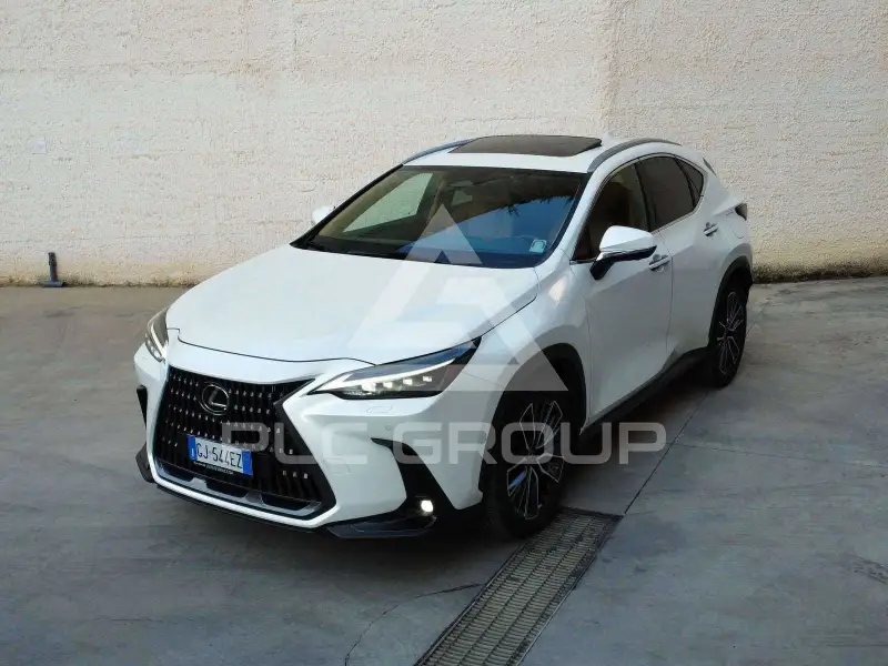 2022 Lexus NX450