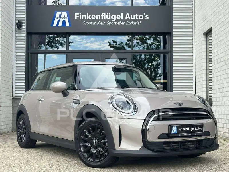 2022 Mini Unknown