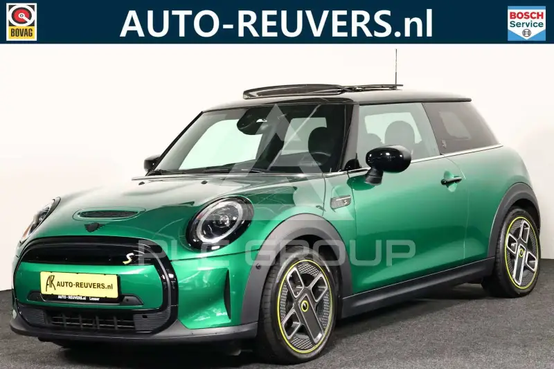 2022 Mini Unknown