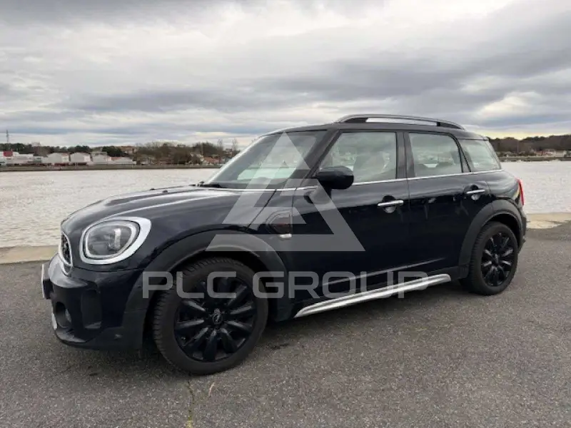 2022 Mini Unknown