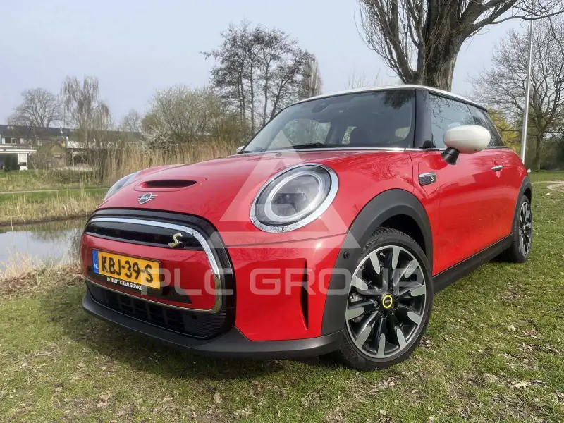 2022 Mini Unknown