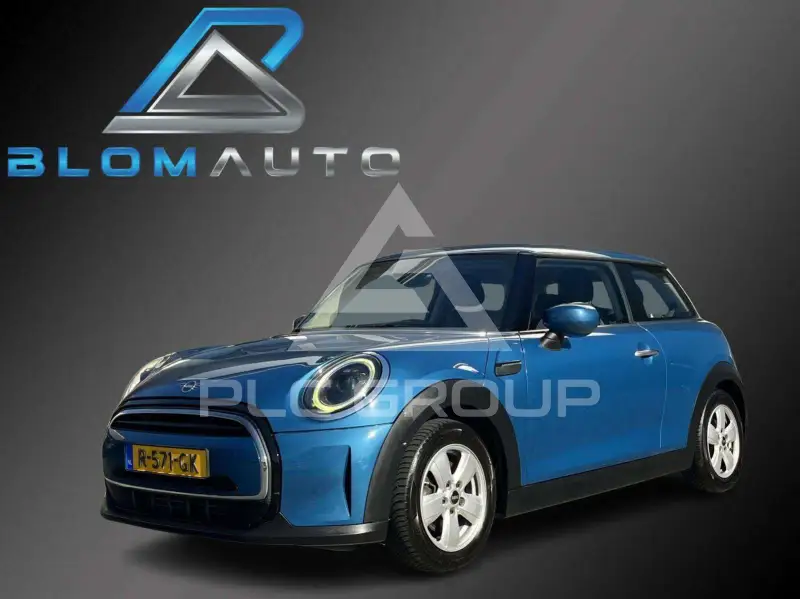 2022 Mini Unknown