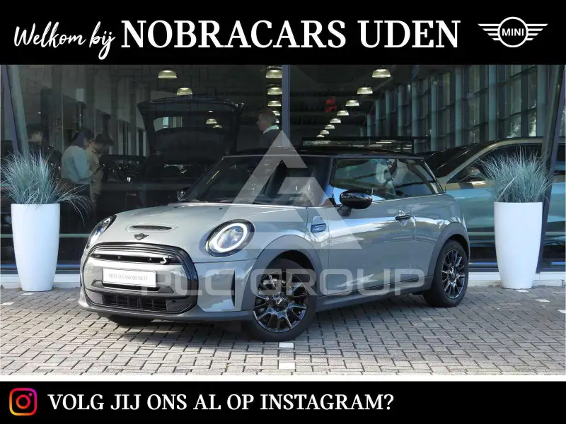 2022 Mini Unknown
